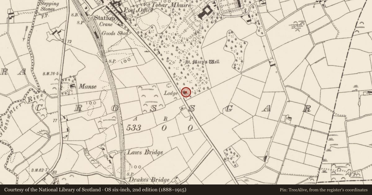 Ordnance Survey six-inch map, 2nd edition (1888–1915) covering the location of Gate lodge at Tobar Mhuire, Crossgar, Newry, Mourne and Down, with a pin at the register's coordinates
