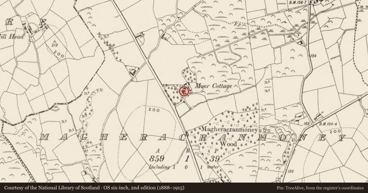 Ordnance Survey six-inch map, 2nd edition (1888–1915) covering the location of Magheracranmoney House, Newry, Mourne and Down, with a pin at the register's coordinates