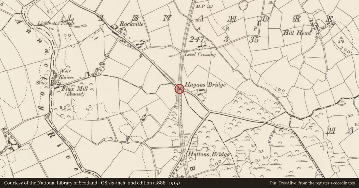 Ordnance Survey six-inch map, 2nd edition (1888–1915) covering the location of Hagan's Bridge, Lisnamore, Newry, Mourne and Down, with a pin at the register's coordinates