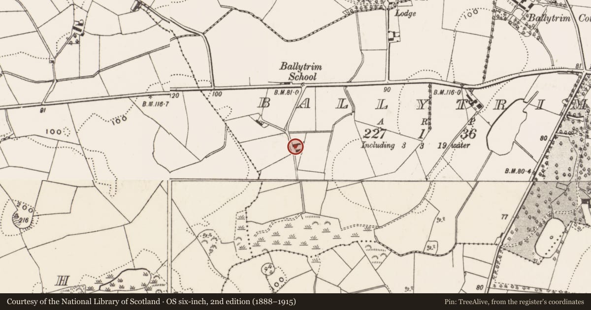 Ordnance Survey six-inch map, 2nd edition (1888–1915) covering the location of 36 Ballytrim Road, Newry, Mourne and Down, with a pin at the register's coordinates