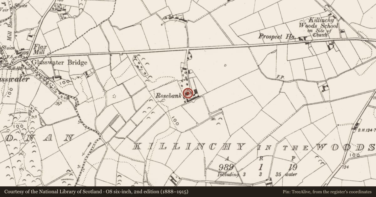 Ordnance Survey six-inch map, 2nd edition (1888–1915) covering the location of Rosebank, Killinchy in the Woods, Newry, Mourne and Down, with a pin at the register's coordinates