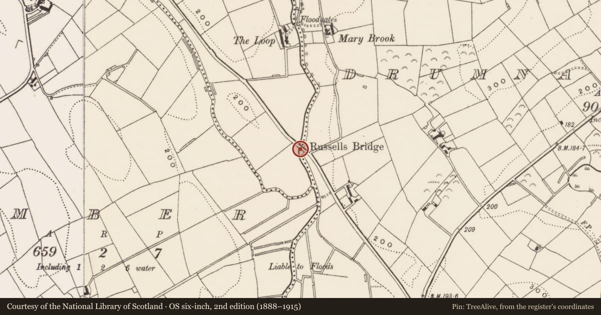 Ordnance Survey six-inch map, 2nd edition (1888–1915) covering the location of Russells Bridge, Raleagh, Newry, Mourne and Down, with a pin at the register's coordinates