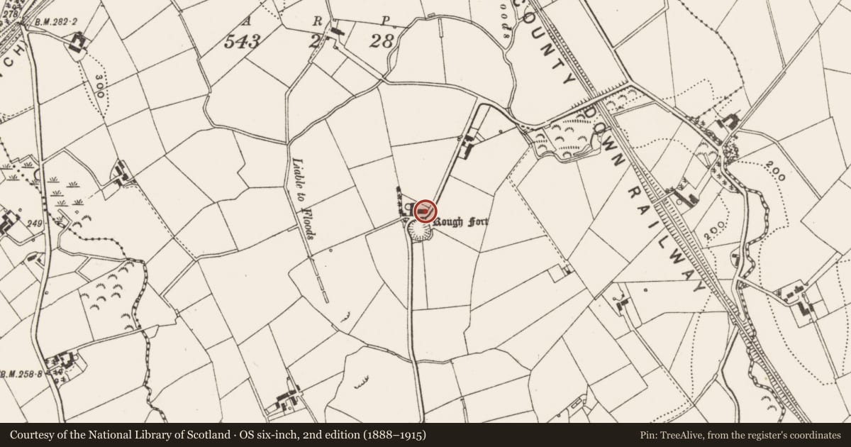 Ordnance Survey six-inch map, 2nd edition (1888–1915) covering the location of 29 Ballydyan Road, Newry, Mourne and Down, with a pin at the register's coordinates