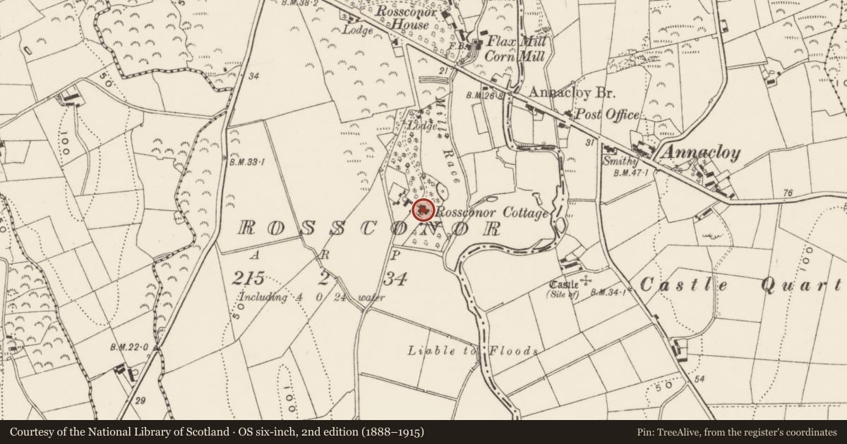 Ordnance Survey six-inch map, 2nd edition (1888–1915) covering the location of Rossconor Cottage, Newry, Mourne and Down, with a pin at the register's coordinates
