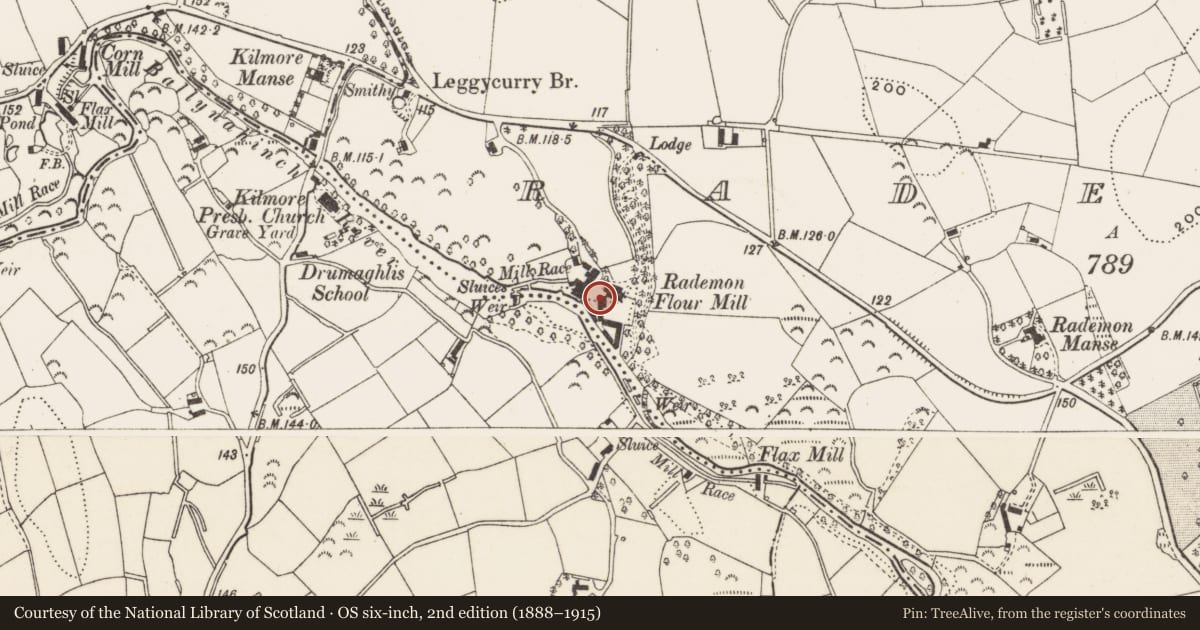 Ordnance Survey six-inch map, 2nd edition (1888–1915) covering the location of Rademan mill, Newry, Mourne and Down, with a pin at the register's coordinates