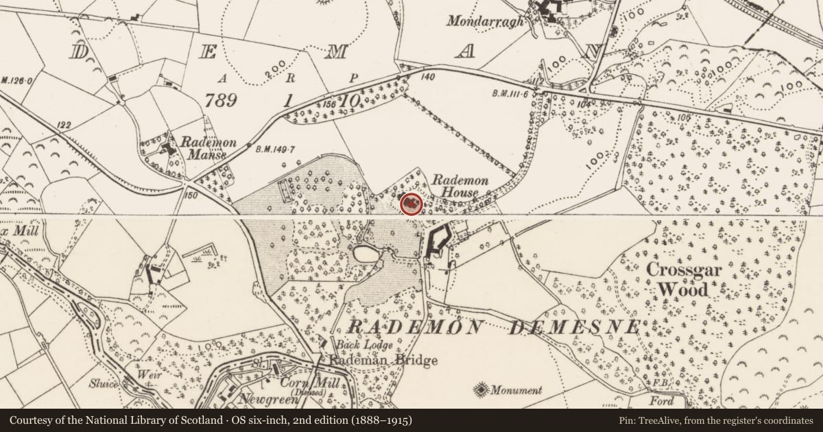 Ordnance Survey six-inch map, 2nd edition (1888–1915) covering the location of Rademan House, Newry, Mourne and Down, with a pin at the register's coordinates