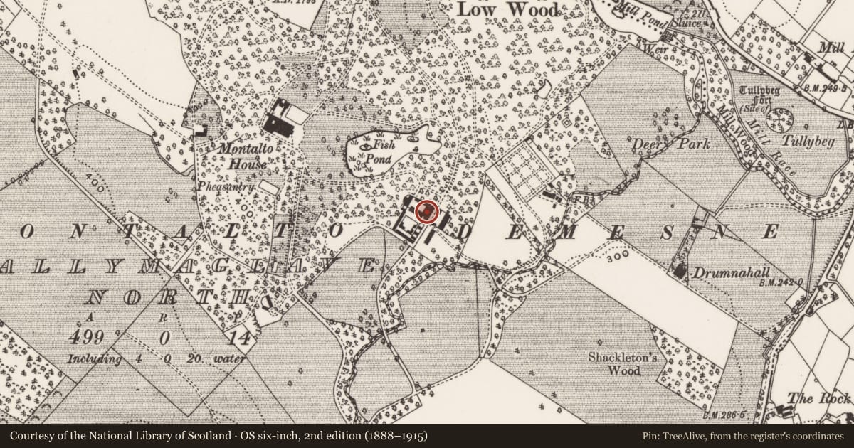 Ordnance Survey six-inch map, 2nd edition (1888–1915) covering the location of Farm buildings at Montalto House, Ballymaglave north, Newry, Mourne and Down, with a pin at the register's coordinates