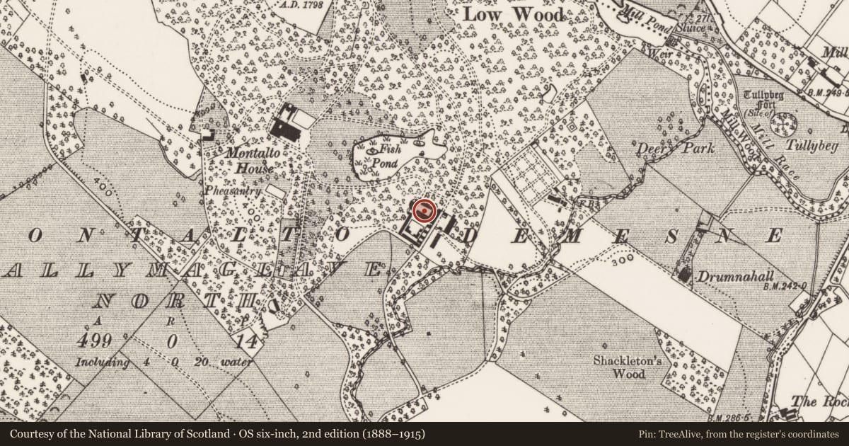 Ordnance Survey six-inch map, 2nd edition (1888–1915) covering the location of Pump situated in the Farmyard, Montalto Estate, Ballynahinch, Co Down, Ballymaglave North, Newry, Mourne and Down, with a pin at the register's coordinates