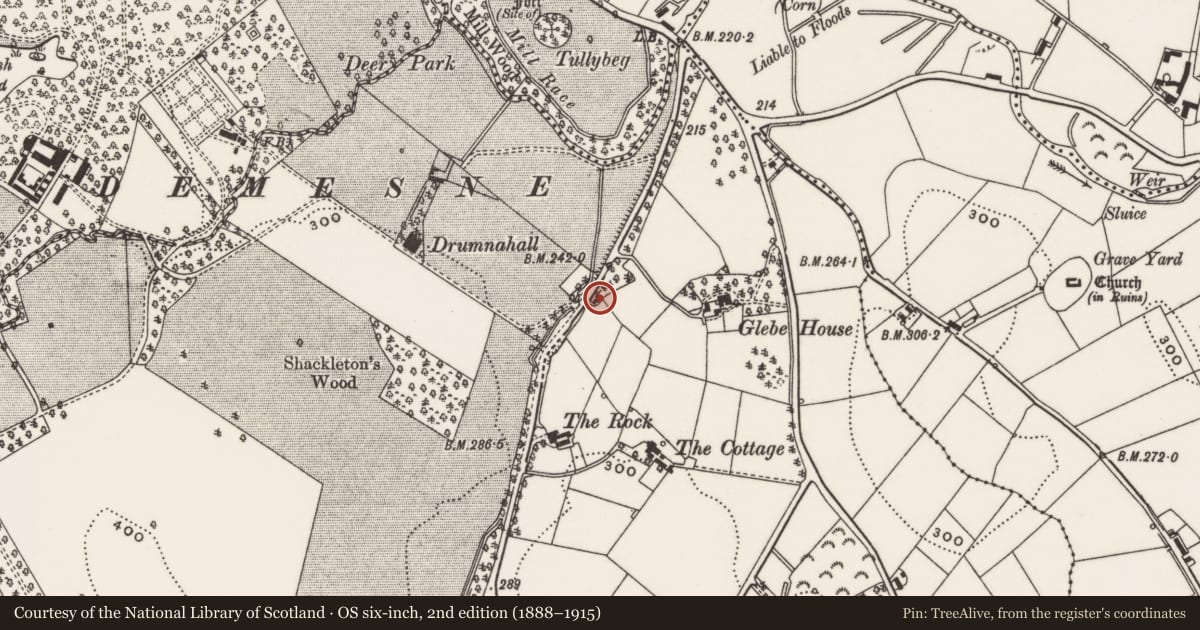 Ordnance Survey six-inch map, 2nd edition (1888–1915) covering the location of The Cottages, Ballymaglave, Newry, Mourne and Down, with a pin at the register's coordinates
