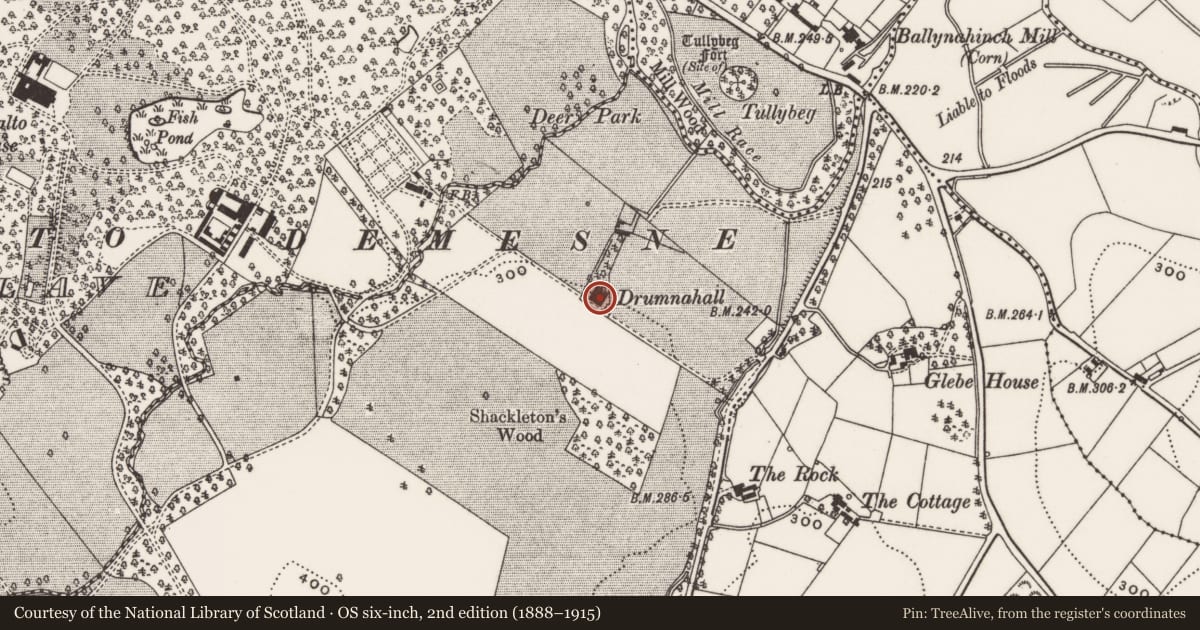 Ordnance Survey six-inch map, 2nd edition (1888–1915) covering the location of Drumnahall, Ballymaglave south, Newry, Mourne and Down, with a pin at the register's coordinates