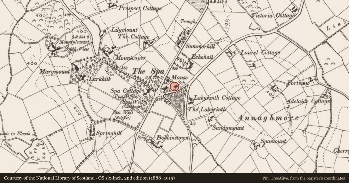 Ordnance Survey six-inch map, 2nd edition (1888–1915) covering the location of Former school house, Ballymaglave south, Newry, Mourne and Down, with a pin at the register's coordinates