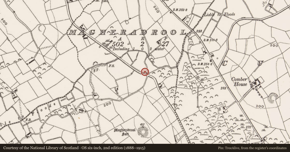 Ordnance Survey six-inch map, 2nd edition (1888–1915) covering the location of Site of former 54 Drumaness Road, Magheradrool, Newry, Mourne and Down, with a pin at the register's coordinates