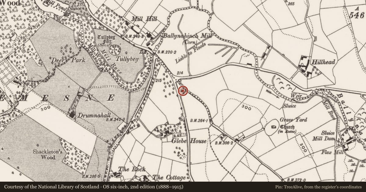 Ordnance Survey six-inch map, 2nd edition (1888–1915) covering the location of Former schoolhouse, Ballymaglave south, Newry, Mourne and Down, with a pin at the register's coordinates