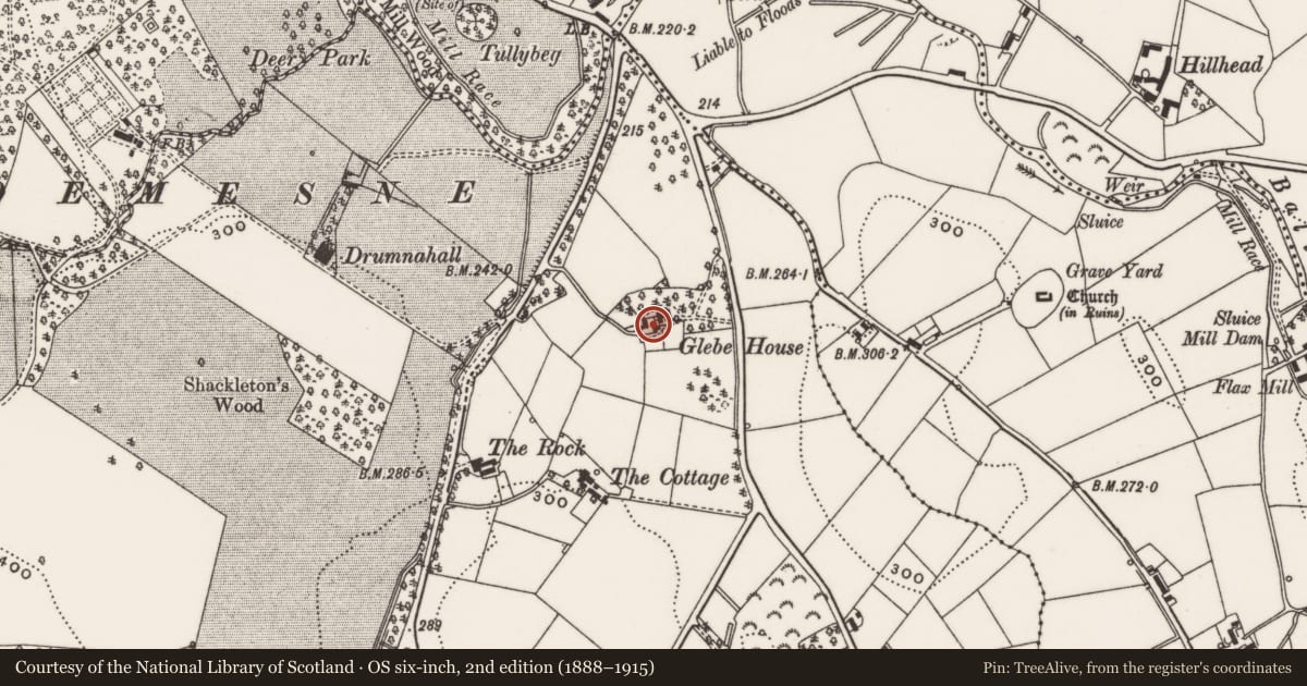 Ordnance Survey six-inch map, 2nd edition (1888–1915) covering the location of Millbrook Lodge Hotel, Ballymaglave south, Newry, Mourne and Down, with a pin at the register's coordinates