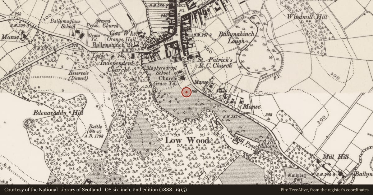 Ordnance Survey six-inch map, 2nd edition (1888–1915) covering the location of Ballynahinch Technical College, Newry, Mourne and Down, with a pin at the register's coordinates