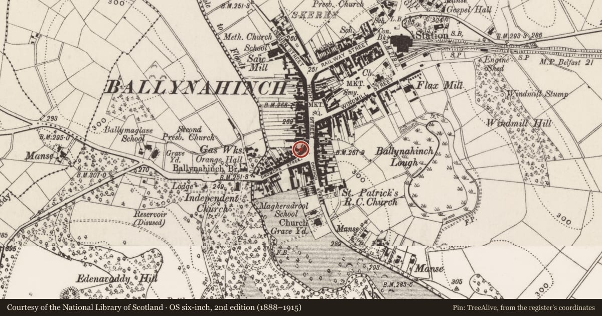 Ordnance Survey six-inch map, 2nd edition (1888–1915) covering the location of Butcher's shop, Ballynahinch, Newry, Mourne and Down, with a pin at the register's coordinates