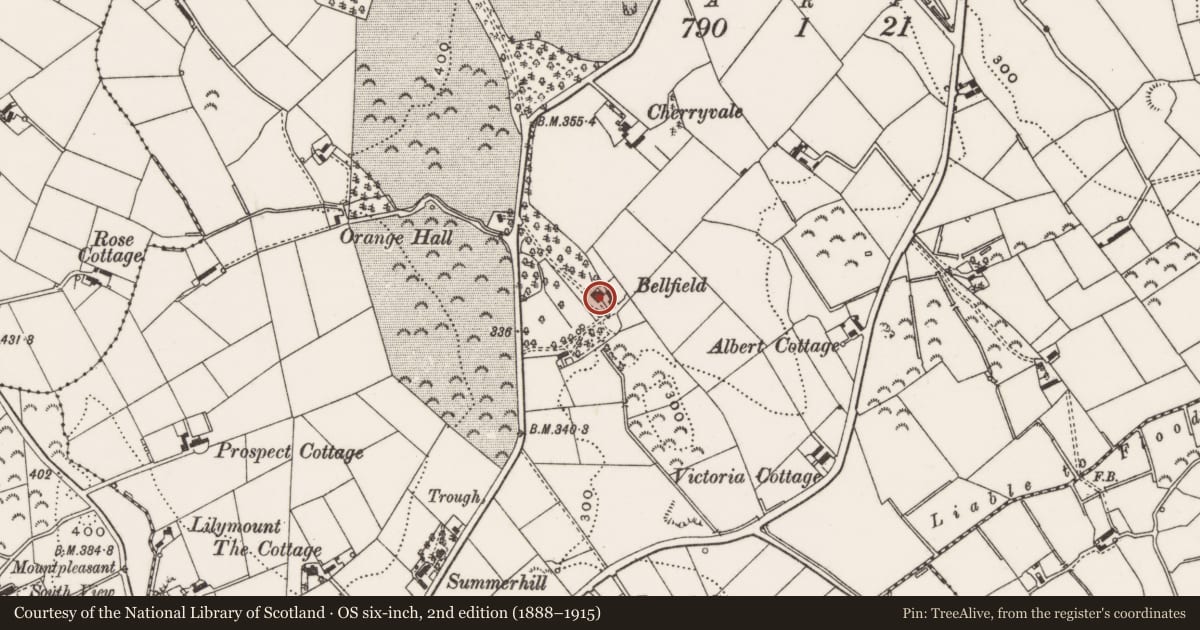 Ordnance Survey six-inch map, 2nd edition (1888–1915) covering the location of Bellfield, Ballymaglave south, Newry, Mourne and Down, with a pin at the register's coordinates