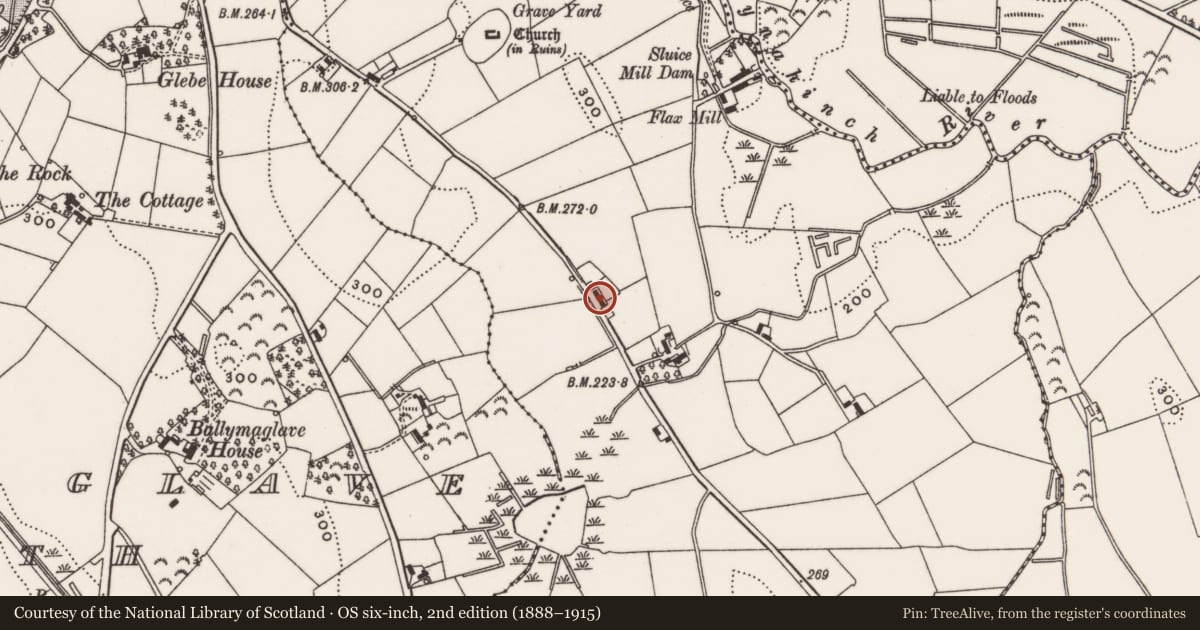 Ordnance Survey six-inch map, 2nd edition (1888–1915) covering the location of 24 Crabtree Road, Magheradroll, Newry, Mourne and Down, with a pin at the register's coordinates