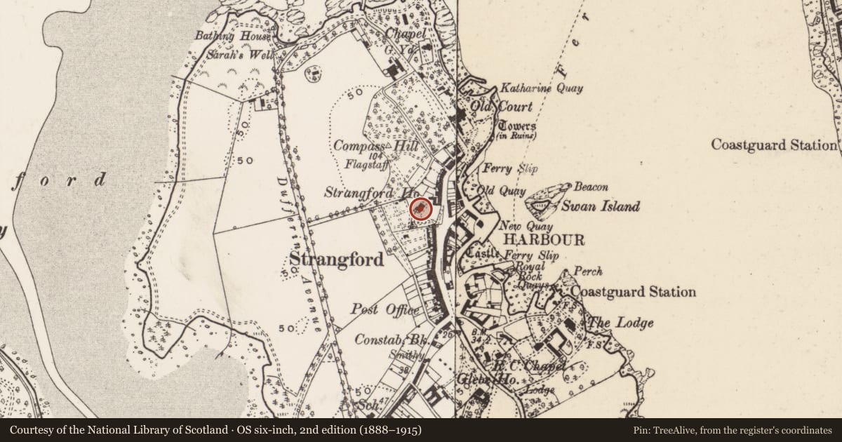 Ordnance Survey six-inch map, 2nd edition (1888–1915) covering the location of Strangford House, Newry, Mourne and Down, with a pin at the register's coordinates