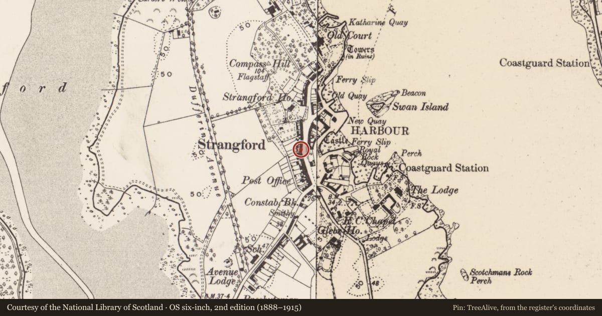 Ordnance Survey six-inch map, 2nd edition (1888–1915) covering the location of 15 Castle St., Newry, Mourne and Down, with a pin at the register's coordinates