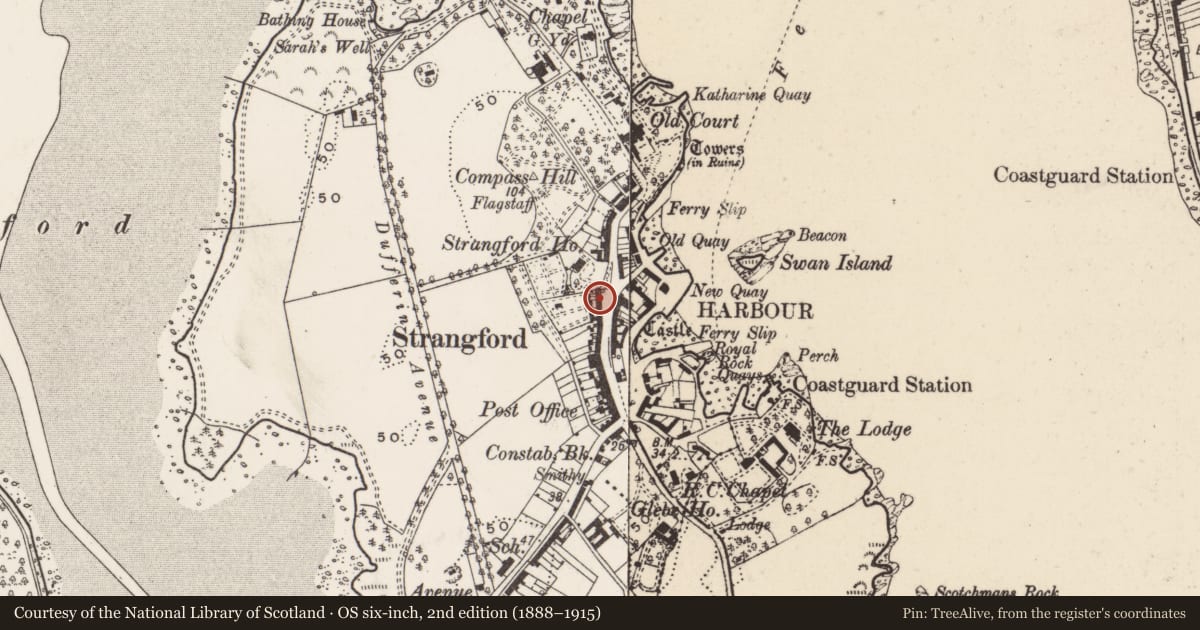Ordnance Survey six-inch map, 2nd edition (1888–1915) covering the location of 37-39 Castle St., Newry, Mourne and Down, with a pin at the register's coordinates