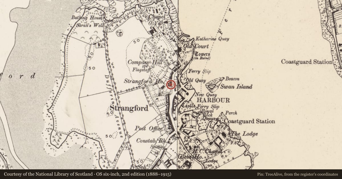 Ordnance Survey six-inch map, 2nd edition (1888–1915) covering the location of 41 Castle St., Newry, Mourne and Down, with a pin at the register's coordinates