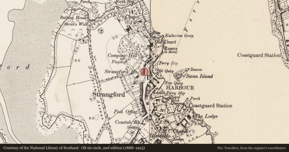 Ordnance Survey six-inch map, 2nd edition (1888–1915) covering the location of 43 Castle St., Newry, Mourne and Down, with a pin at the register's coordinates