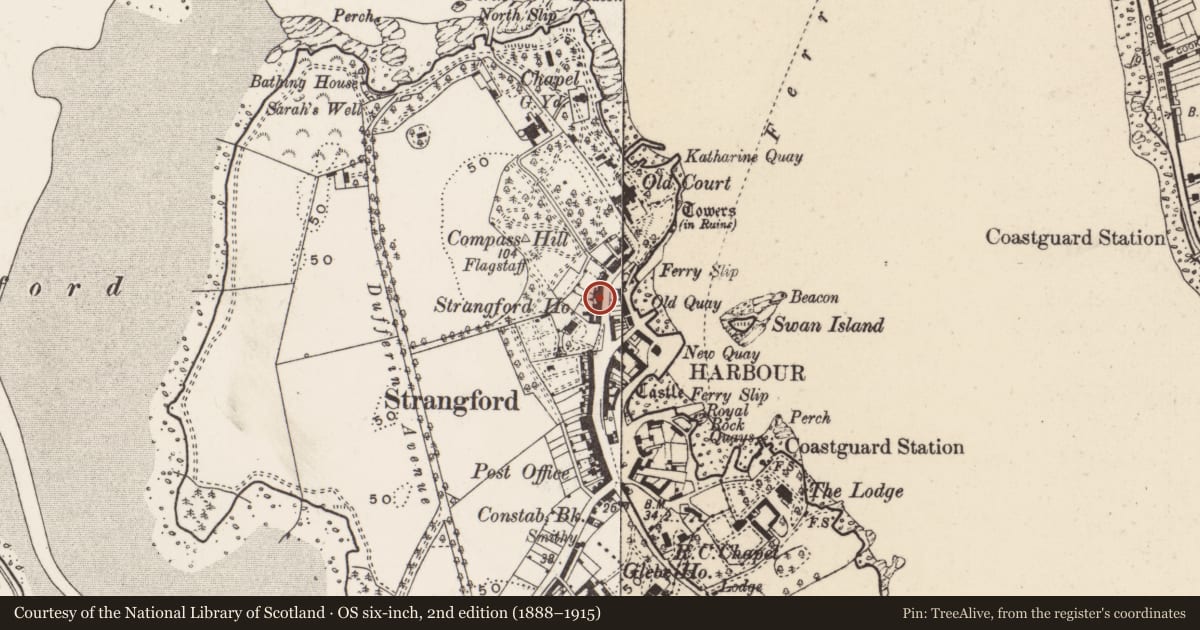 Ordnance Survey six-inch map, 2nd edition (1888–1915) covering the location of 45 Castle St., Newry, Mourne and Down, with a pin at the register's coordinates