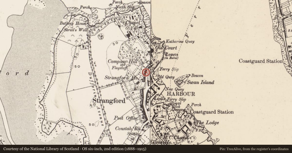 Ordnance Survey six-inch map, 2nd edition (1888–1915) covering the location of 47 Castle St., Newry, Mourne and Down, with a pin at the register's coordinates
