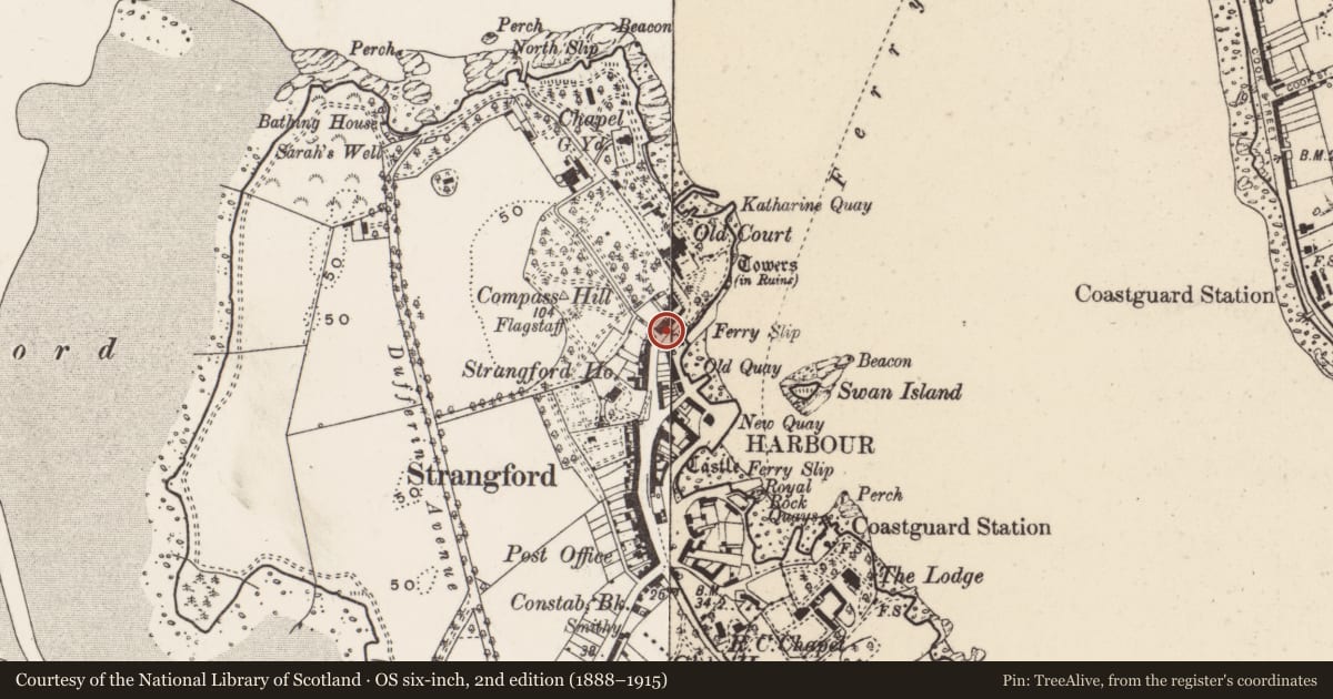 Ordnance Survey six-inch map, 2nd edition (1888–1915) covering the location of 1 Old Court, Newry, Mourne and Down, with a pin at the register's coordinates