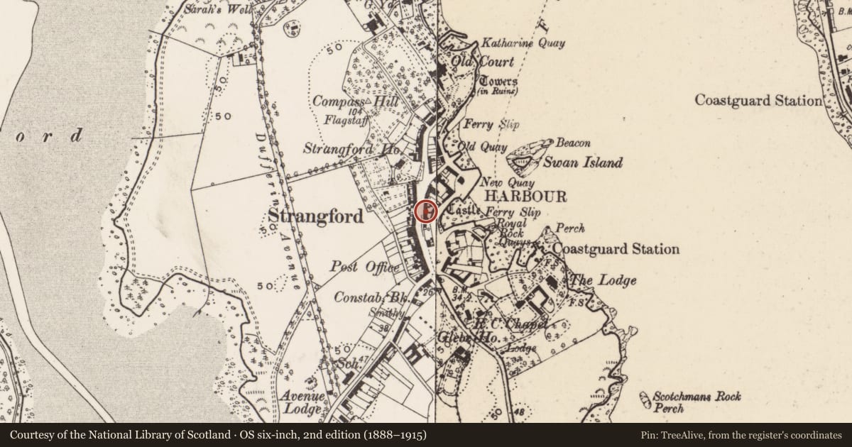 Ordnance Survey six-inch map, 2nd edition (1888–1915) covering the location of 6 Castle St., Newry, Mourne and Down, with a pin at the register's coordinates