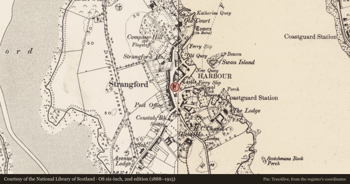 Ordnance Survey six-inch map, 2nd edition (1888–1915) covering the location of 1 Quay Road, Newry, Mourne and Down, with a pin at the register's coordinates