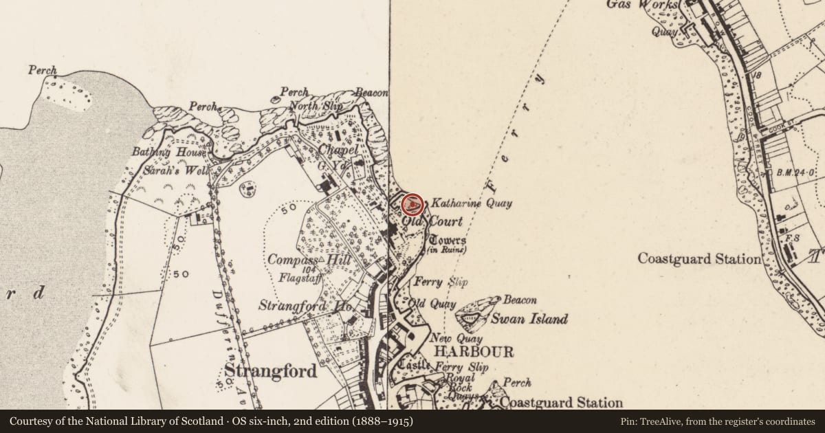 Ordnance Survey six-inch map, 2nd edition (1888–1915) covering the location of Old Court Harbour And Katherine Quay, Newry, Mourne and Down, with a pin at the register's coordinates