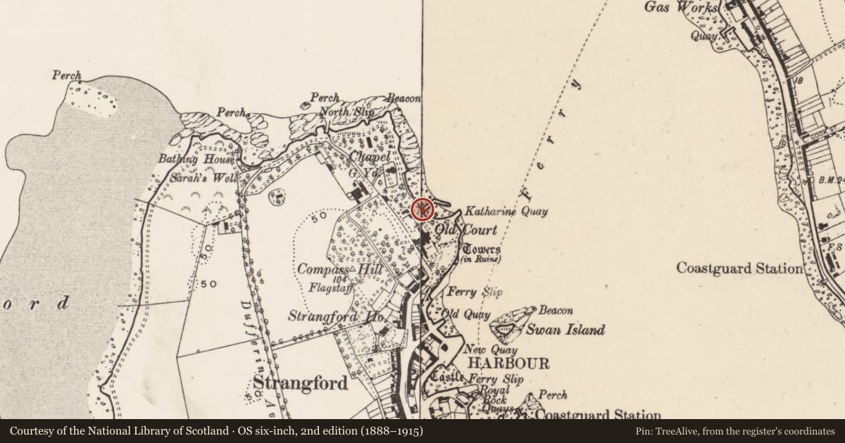 Ordnance Survey six-inch map, 2nd edition (1888–1915) covering the location of Boatman'S House, Newry, Mourne and Down, with a pin at the register's coordinates