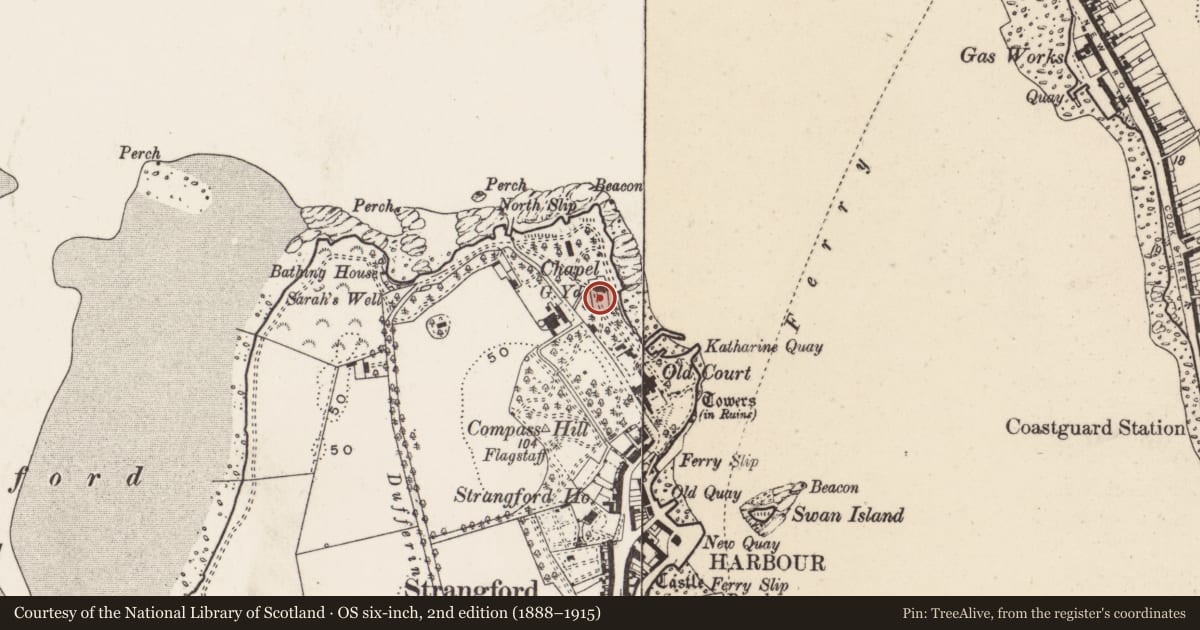 Ordnance Survey six-inch map, 2nd edition (1888–1915) covering the location of Old Court (C of I) Chapel, Strangford, Newry, Mourne and Down, with a pin at the register's coordinates