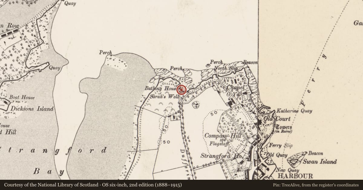 Ordnance Survey six-inch map, 2nd edition (1888–1915) covering the location of Bathing House, Pool And Sarah'S Well, Newry, Mourne and Down, with a pin at the register's coordinates