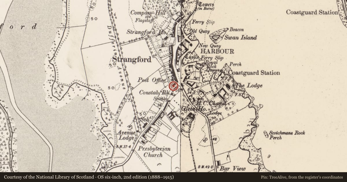 Ordnance Survey six-inch map, 2nd edition (1888–1915) covering the location of 3 Downpatrick Road, Newry, Mourne and Down, with a pin at the register's coordinates