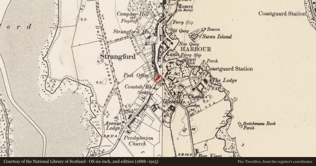 Ordnance Survey six-inch map, 2nd edition (1888–1915) covering the location of 7 Downpatrick Road, Newry, Mourne and Down, with a pin at the register's coordinates