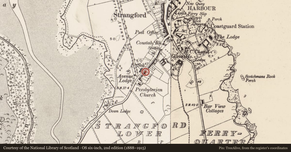 Ordnance Survey six-inch map, 2nd edition (1888–1915) covering the location of 40 Downpatrick Road, Newry, Mourne and Down, with a pin at the register's coordinates