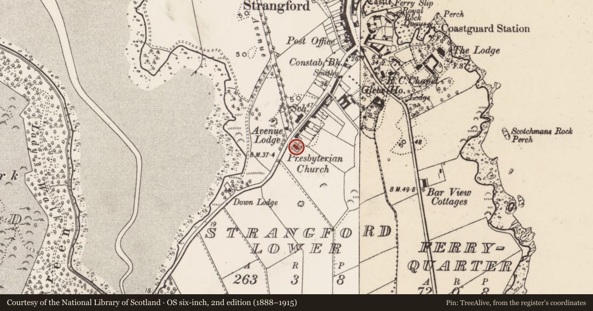 Ordnance Survey six-inch map, 2nd edition (1888–1915) covering the location of Strangford Presbyterian Church, Strangford Lower, Newry, Mourne and Down, with a pin at the register's coordinates