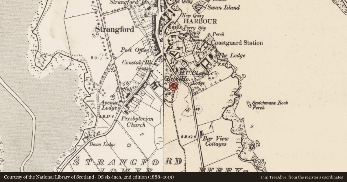 Ordnance Survey six-inch map, 2nd edition (1888–1915) covering the location of The Old Rectory, Strangford Lower, Newry, Mourne and Down, with a pin at the register's coordinates