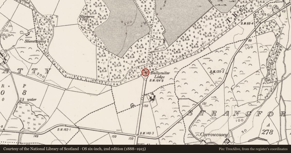 Ordnance Survey six-inch map, 2nd edition (1888–1915) covering the location of Ballyculter Entrance Gates, Newry, Mourne and Down, with a pin at the register's coordinates