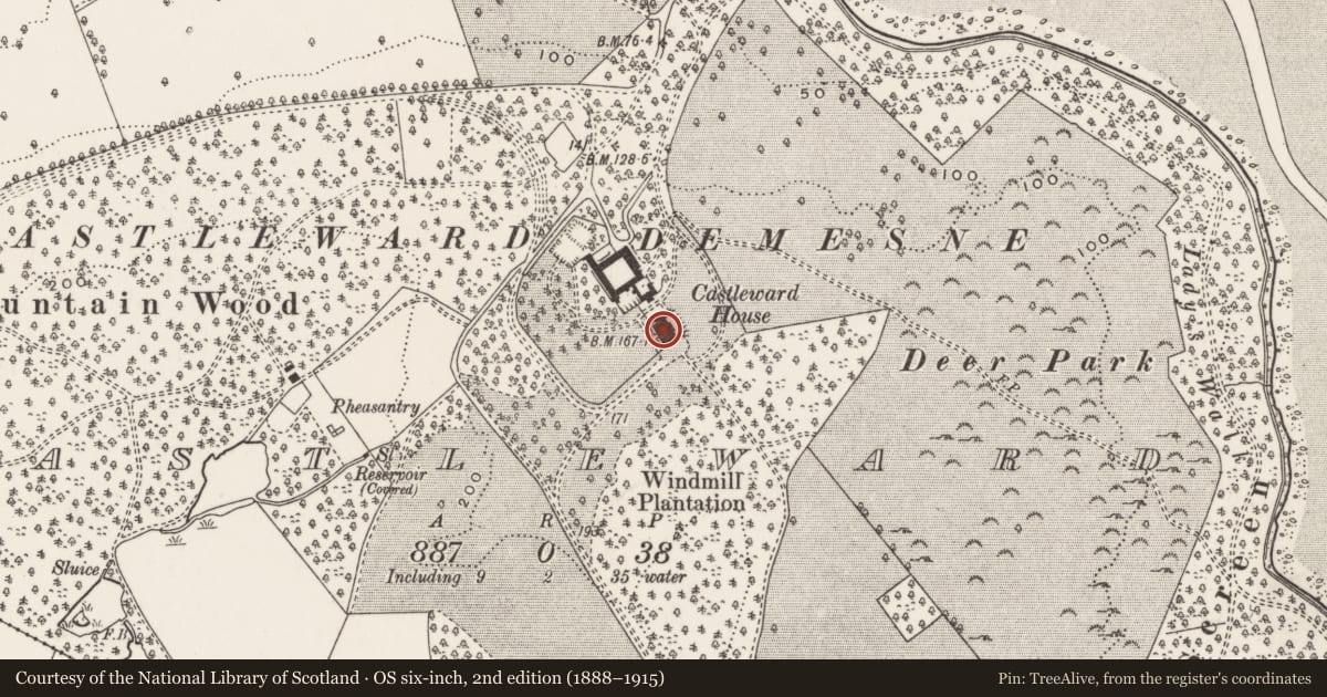 Ordnance Survey six-inch map, 2nd edition (1888–1915) covering the location of Castleward House, Newry, Mourne and Down, with a pin at the register's coordinates