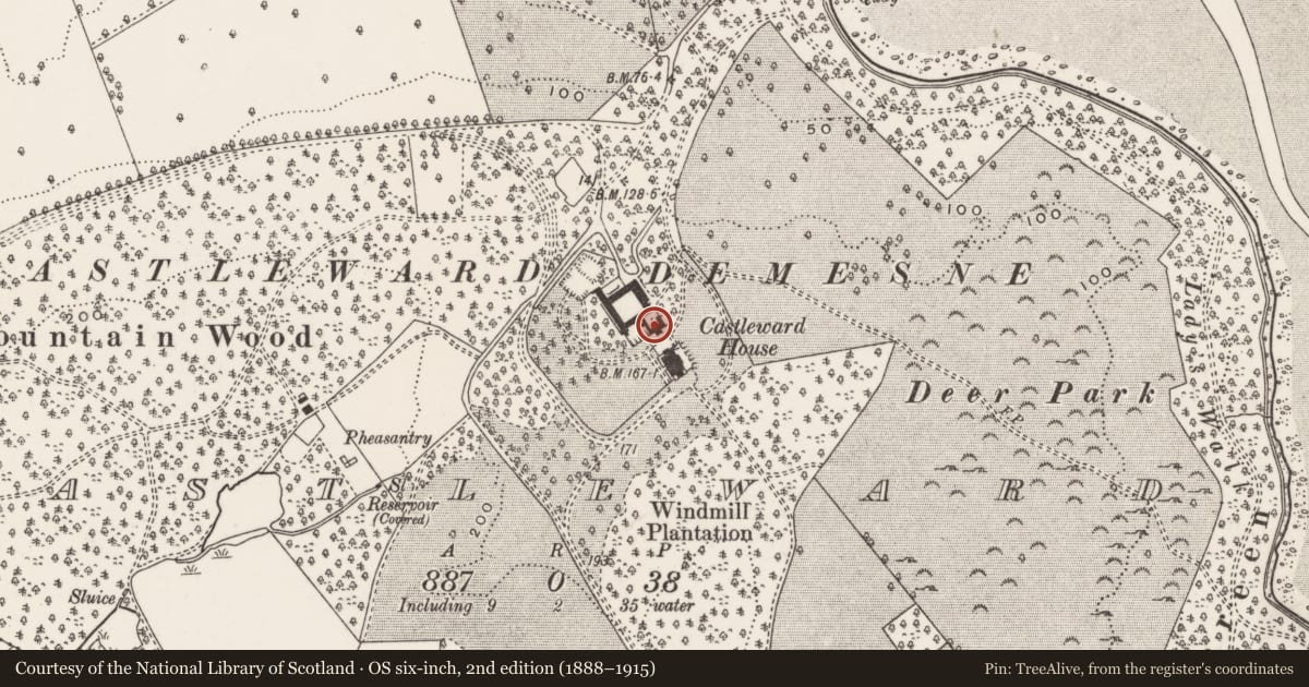 Ordnance Survey six-inch map, 2nd edition (1888–1915) covering the location of Inner Yard, Newry, Mourne and Down, with a pin at the register's coordinates