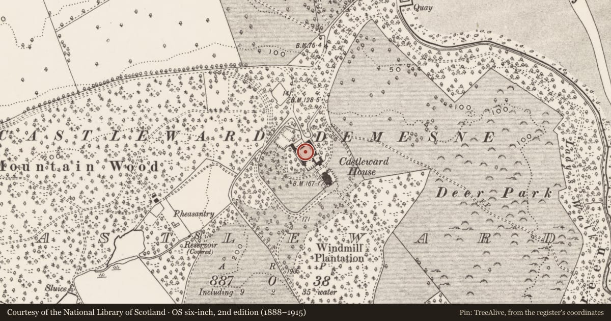 Ordnance Survey six-inch map, 2nd edition (1888–1915) covering the location of Coach And Stable Yard, Newry, Mourne and Down, with a pin at the register's coordinates