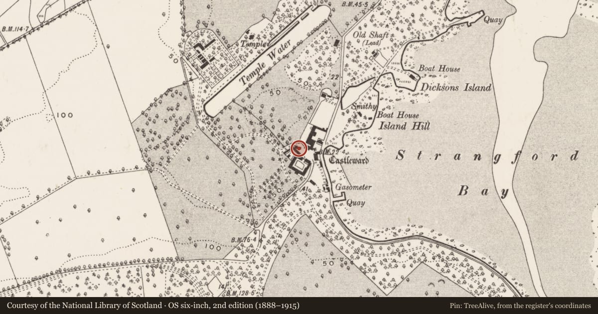 Ordnance Survey six-inch map, 2nd edition (1888–1915) covering the location of Saw Mill, Newry, Mourne and Down, with a pin at the register's coordinates