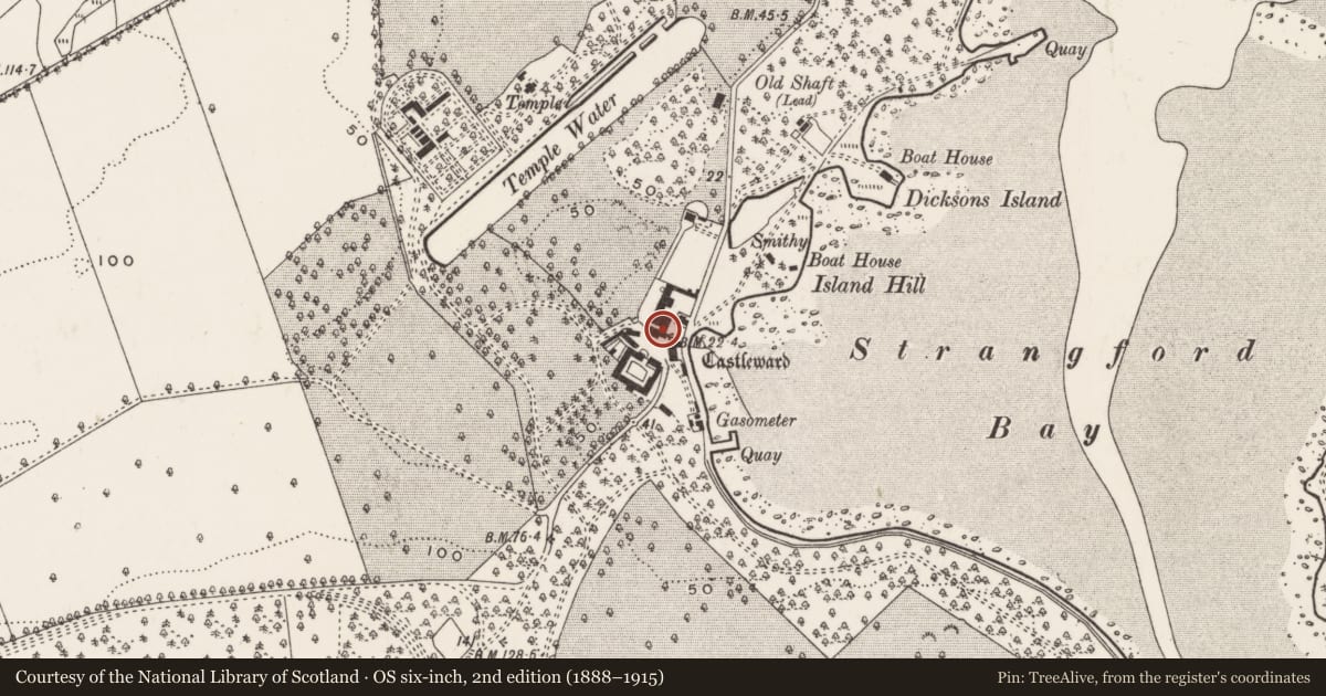 Ordnance Survey six-inch map, 2nd edition (1888–1915) covering the location of Flour Or Corn Mill, Newry, Mourne and Down, with a pin at the register's coordinates