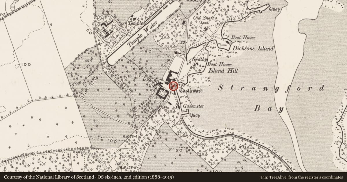 Ordnance Survey six-inch map, 2nd edition (1888–1915) covering the location of Old Slaughterhouse, Newry, Mourne and Down, with a pin at the register's coordinates