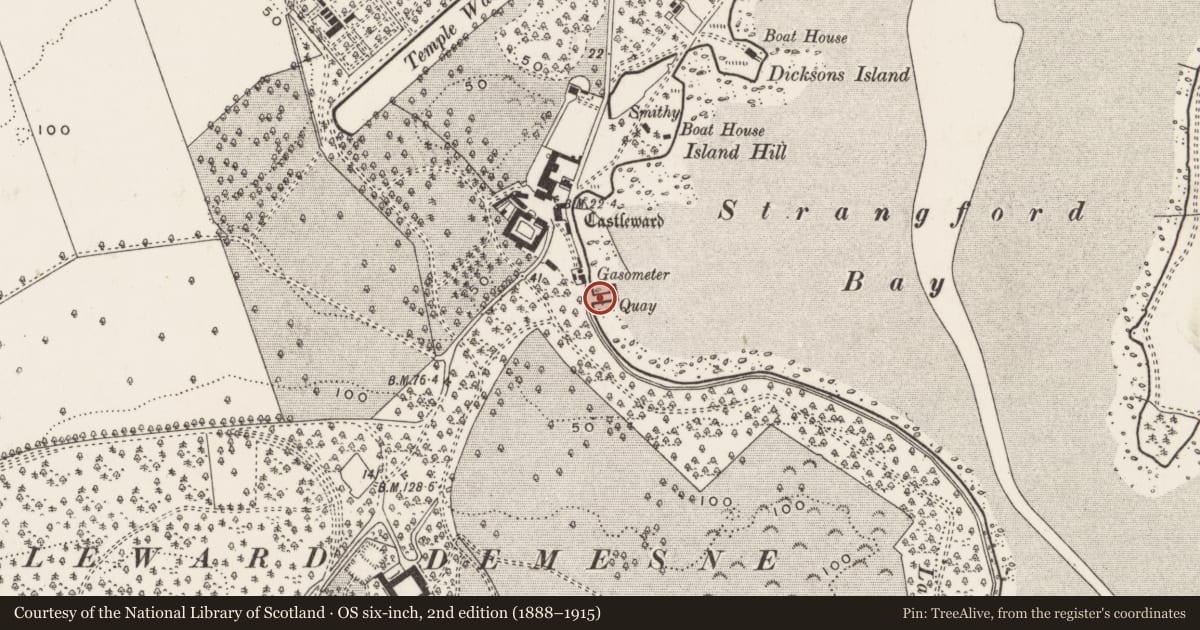 Ordnance Survey six-inch map, 2nd edition (1888–1915) covering the location of Gas Quay, Newry, Mourne and Down, with a pin at the register's coordinates