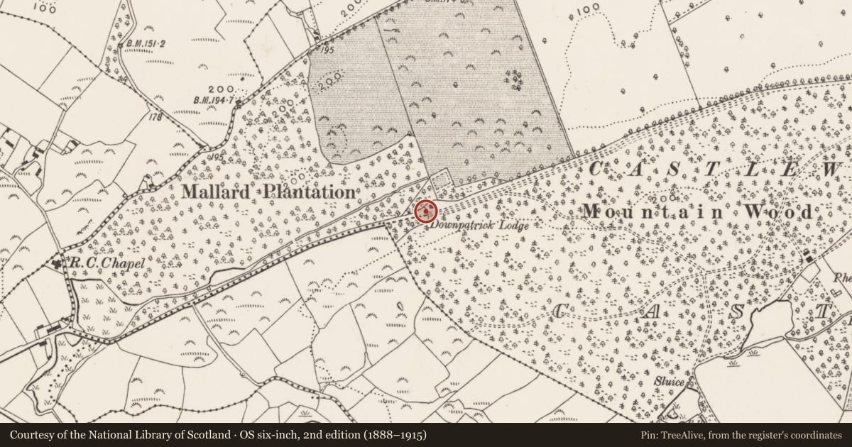 Ordnance Survey six-inch map, 2nd edition (1888–1915) covering the location of Gate Screen, Newry, Mourne and Down, with a pin at the register's coordinates